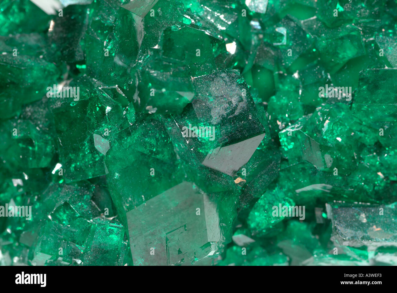 Minéral Dioptase, vert émeraude sur hérisson de cristal quartz, Tsumeb, Otavi, Namibie Banque D'Images