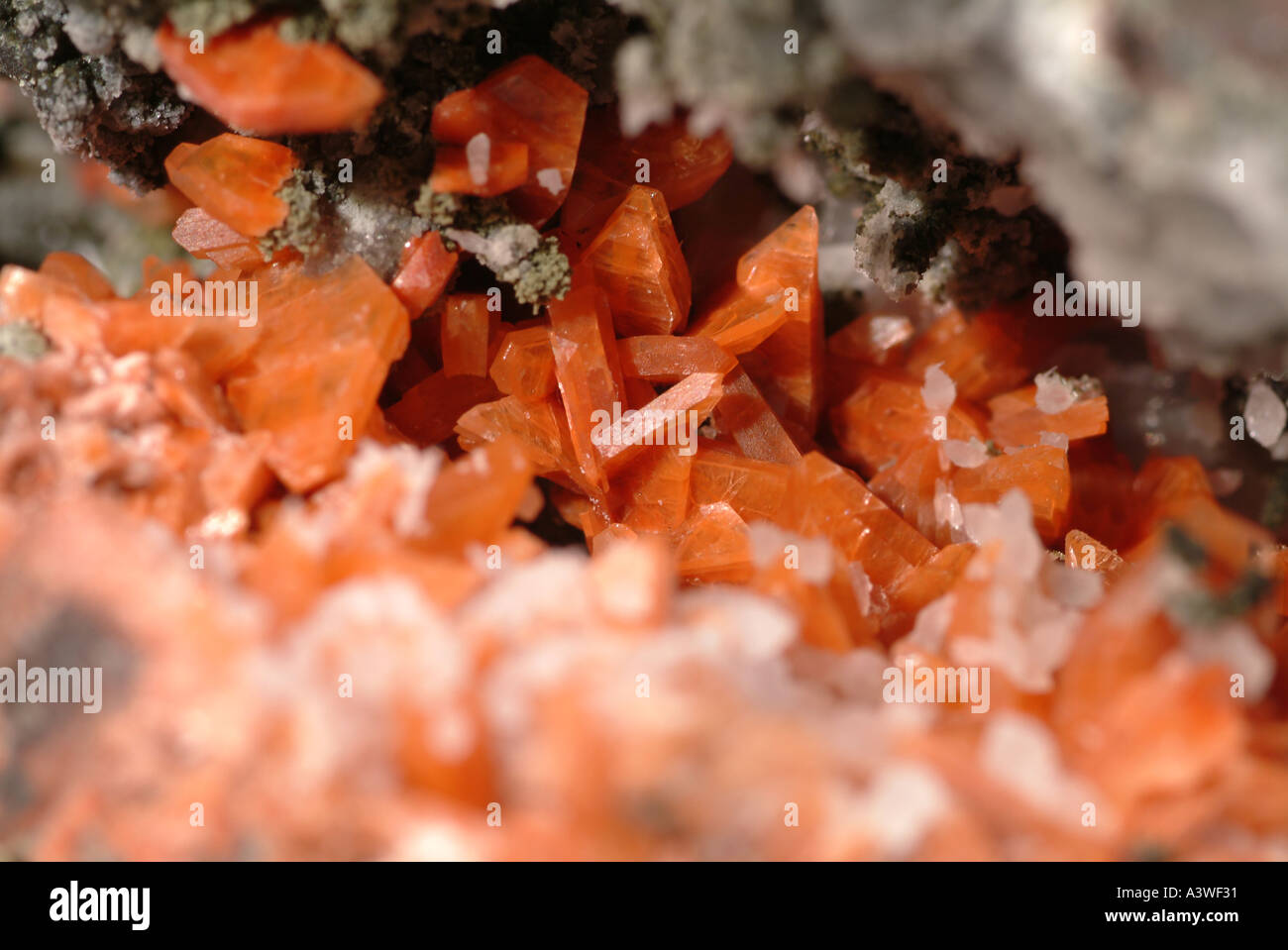 Minéral Heulandite Heulandite rouge, en basalte, Lang Craigs, Dunbartonshire, Ecosse Banque D'Images