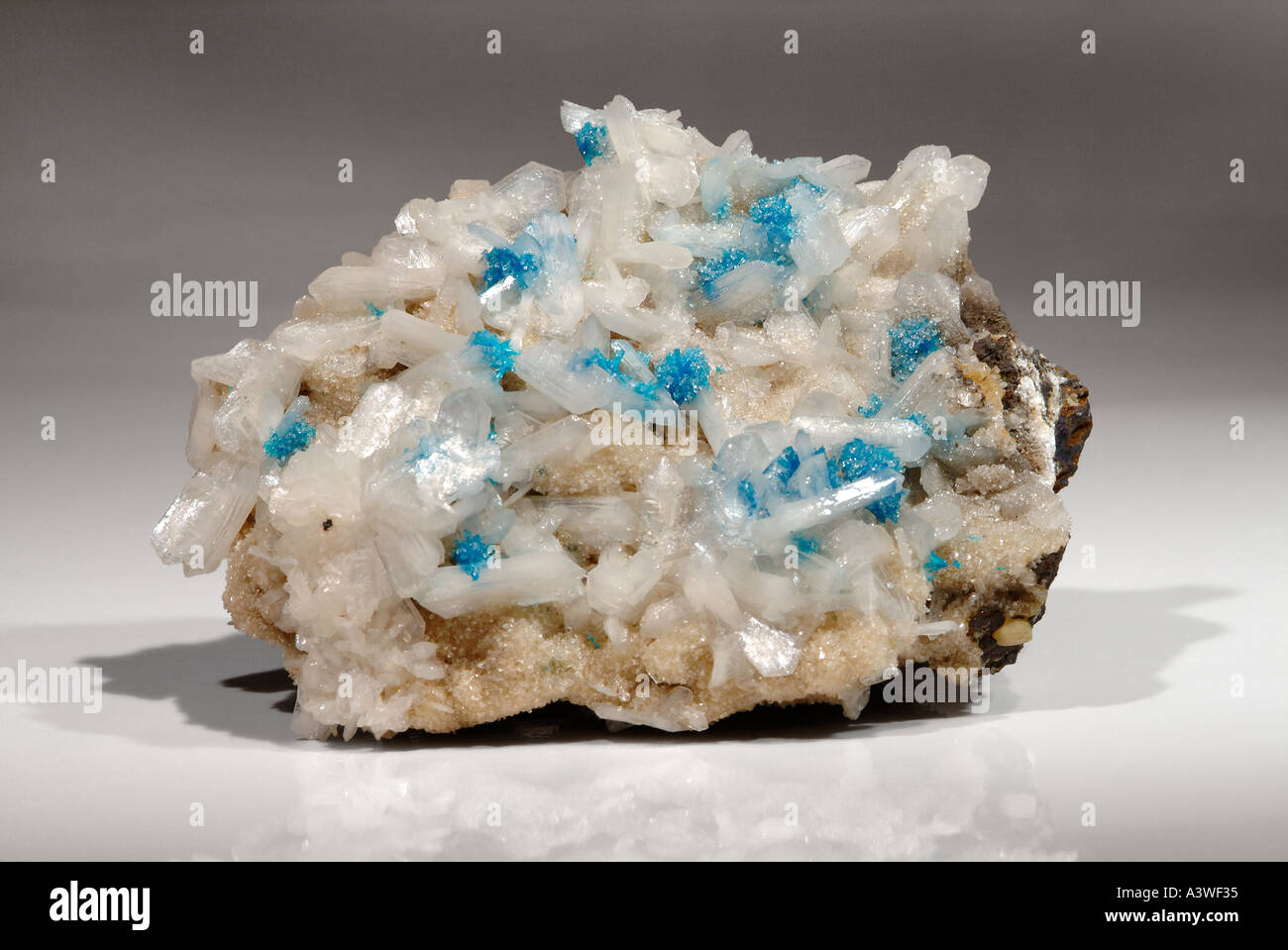 Minéral Bleu Cavansite, rosettes de cristaux cavansite sur stilbite Carrières Wagholi, cristaux, Poona, Inde Banque D'Images