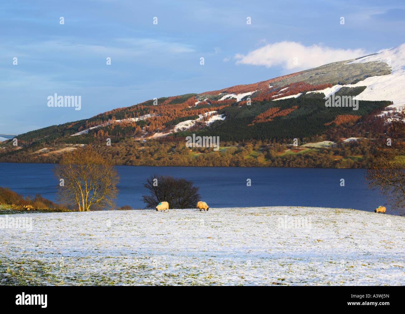 Les rives du Loch Tay Perthshire en Écosse en hiver. Banque D'Images