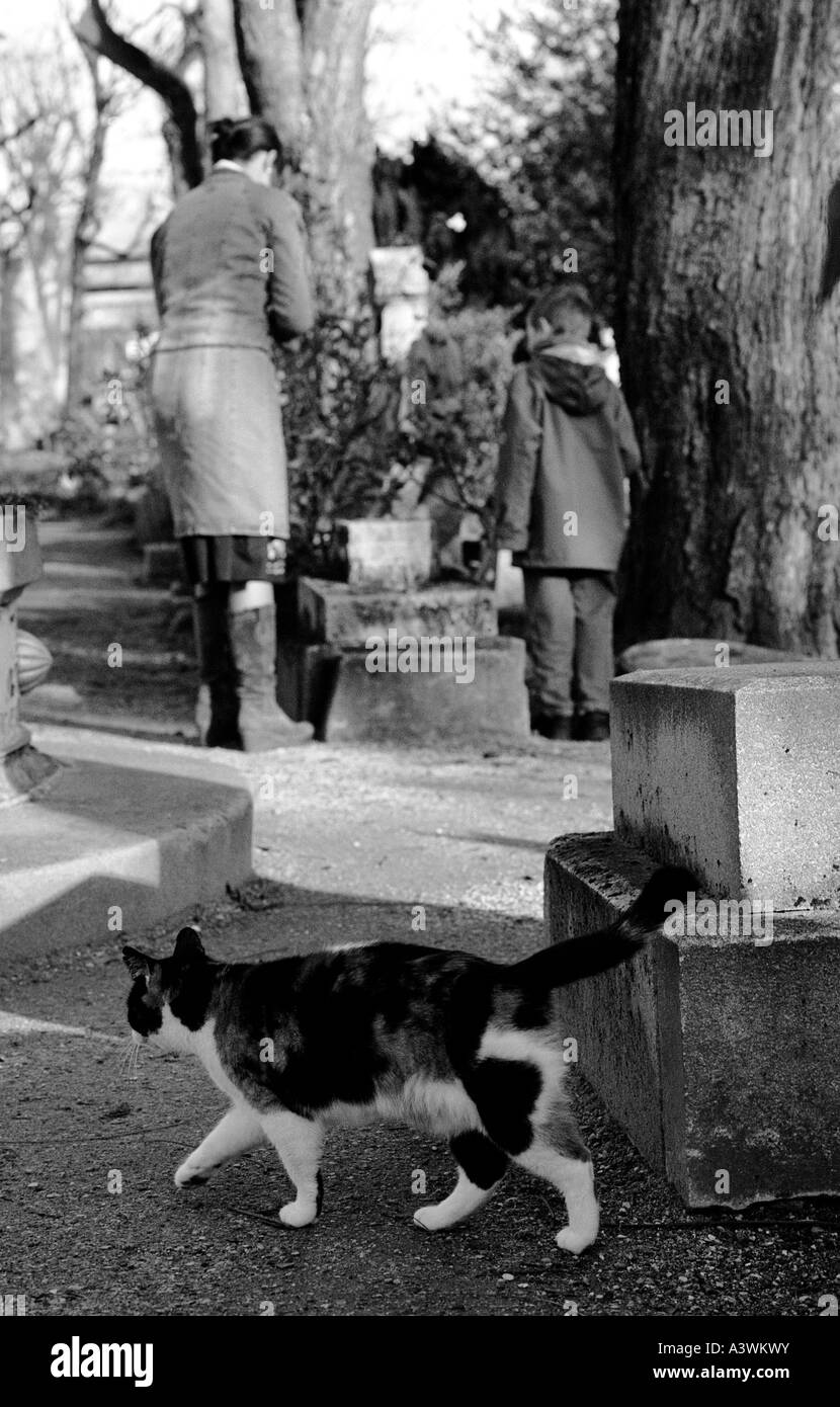 Cimetière d'animaux de compagnie à Asnières-sur-Seine près de Paris Banque D'Images