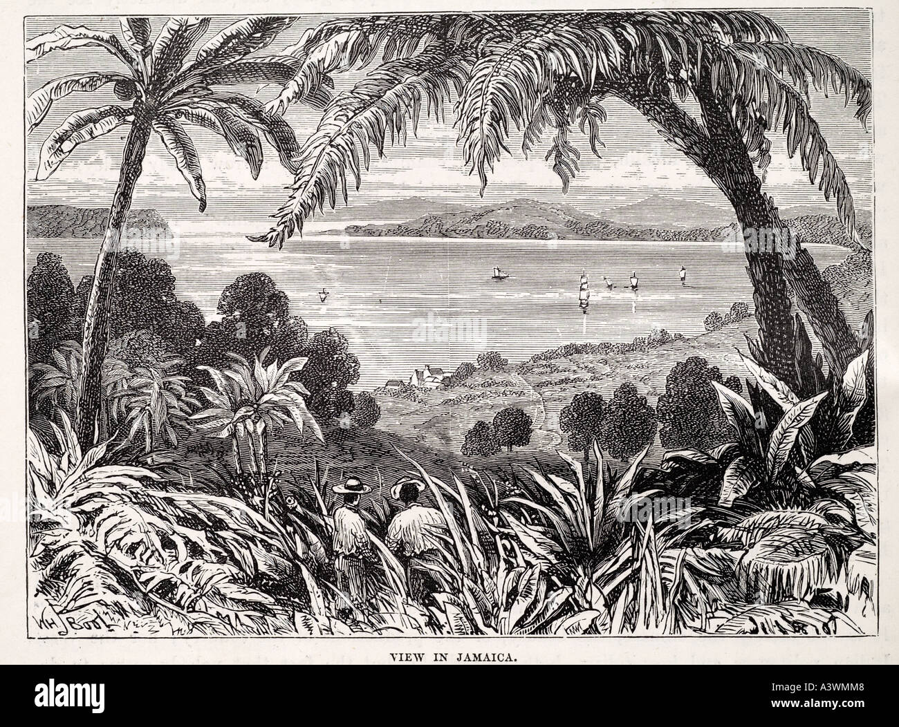 Caraïbes Jamaïque tropique tropical palm tree Bay Harbour côte de l'île de ligne de mouillage sûr plantation maritime voyage nautic Banque D'Images