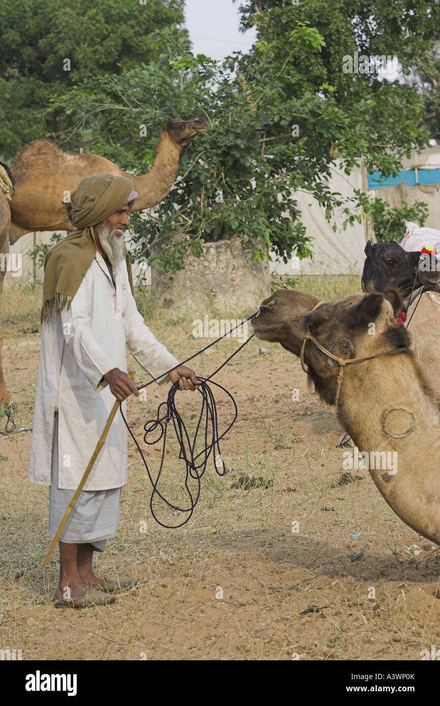 Un commerçant de chameau à Pushkar. - Inde Banque D'Images