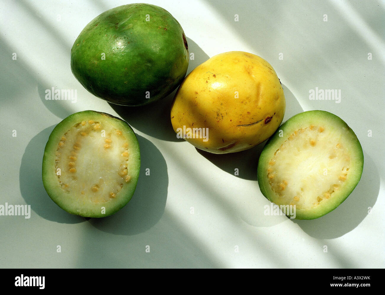 En botanique, le fruit de la passion (Passiflora edulis), fruits, studio shot, maracuja, grenadills, exotique, exotical, vert, jaune, moelleux, Banque D'Images