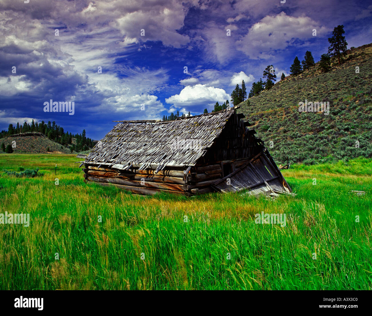 F00100M pioneer cabin en tiff abandonnée près de pâturage Burns Oregon Banque D'Images