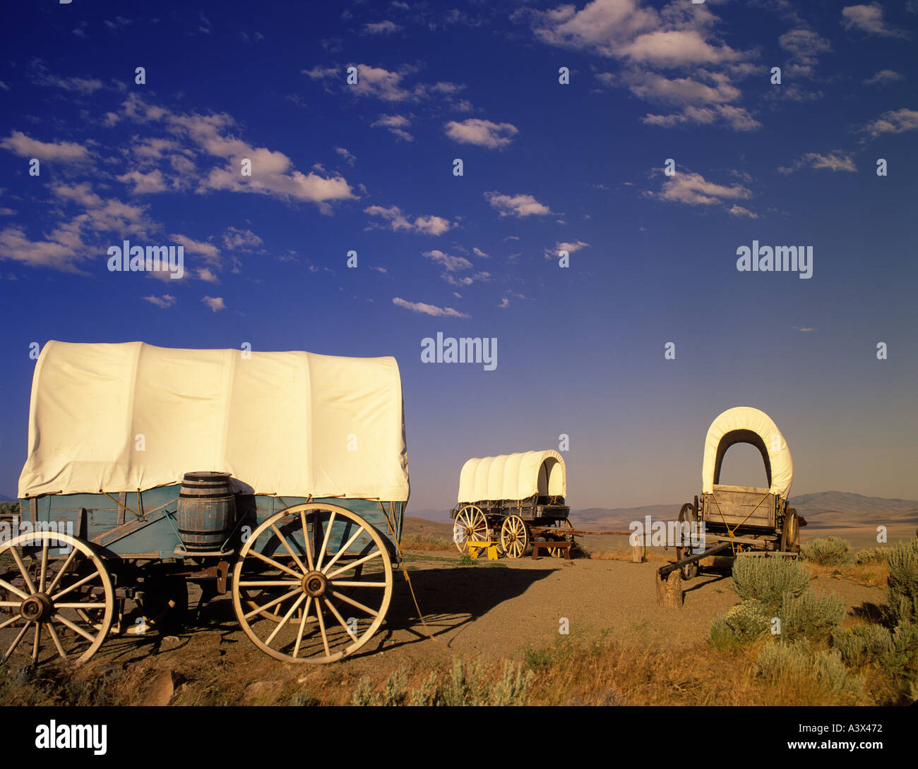 F00158M tiff des wagons couverts à l'Oregon Trail Interpretive Center près de Baker City, Oregon Banque D'Images