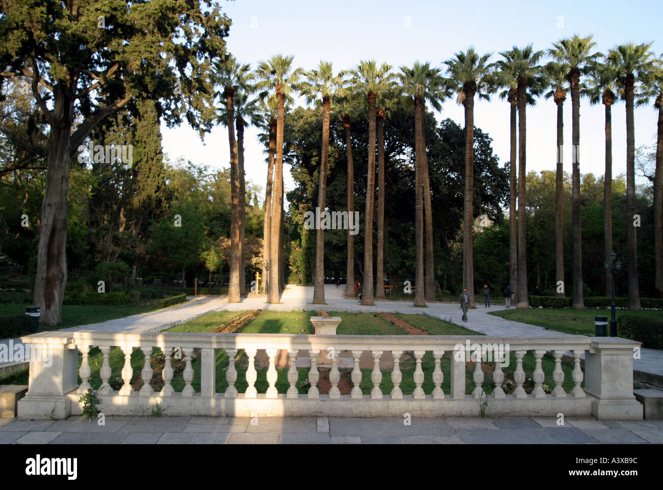 Jardin National d'Athènes Grèce Palm tree Banque D'Images