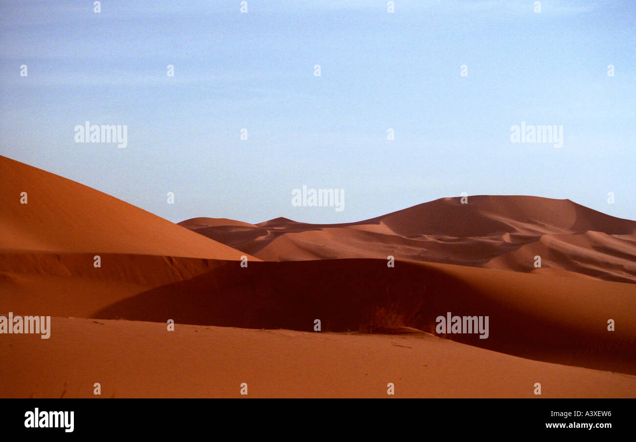 Les dunes de sable du Sahara à Merzouga, Maroc Banque D'Images