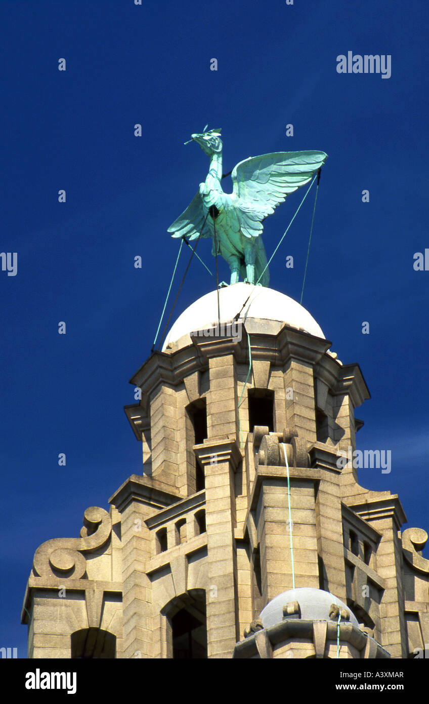 Une statue d'oiseau du foie sur le dessus de l'Édifice du foie, le Pier Head, Liverpool, Merseyside, England, UK Banque D'Images