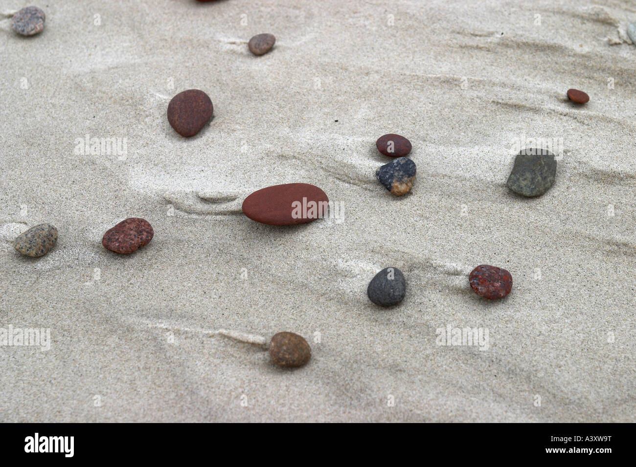 Pebbles on sandy beach Banque D'Images