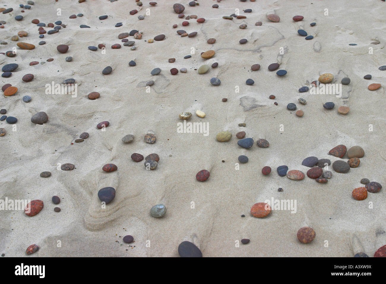 Pebbles on sandy beach Banque D'Images