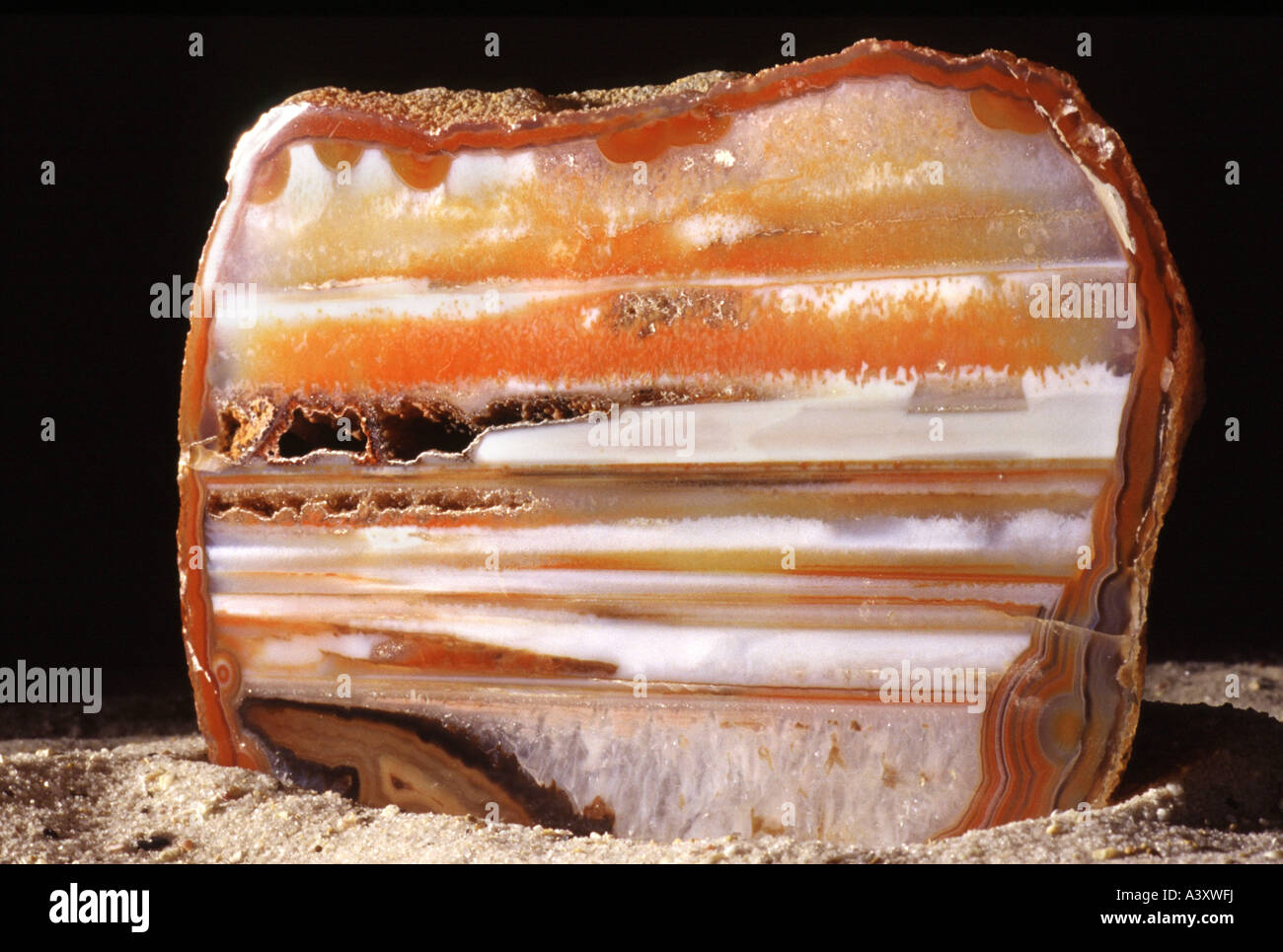Structure d'un disque de silice Banque D'Images