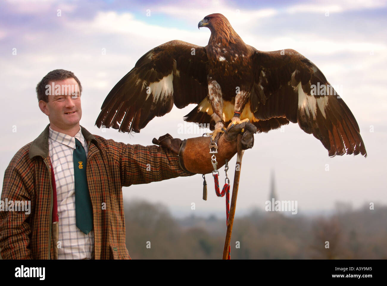 FALCONER IAN HURLEY AVEC L'aigle royal UTILISÉ POUR CHASSER LES RENARDS AVEC LE CROOME ET WEST WARWICK HUNT Banque D'Images