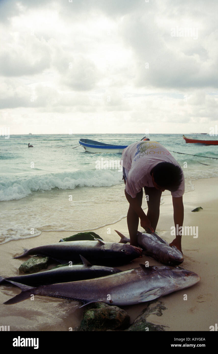 Nettoyage pêcheur poissons thon au Playa El Carmen au Yucatan Banque D'Images