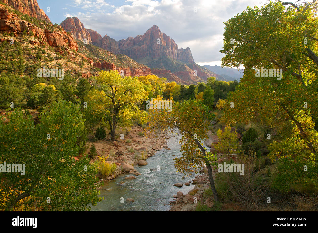 Virgin River North Fork et la Sentinelle Zion National Park Utah Banque D'Images