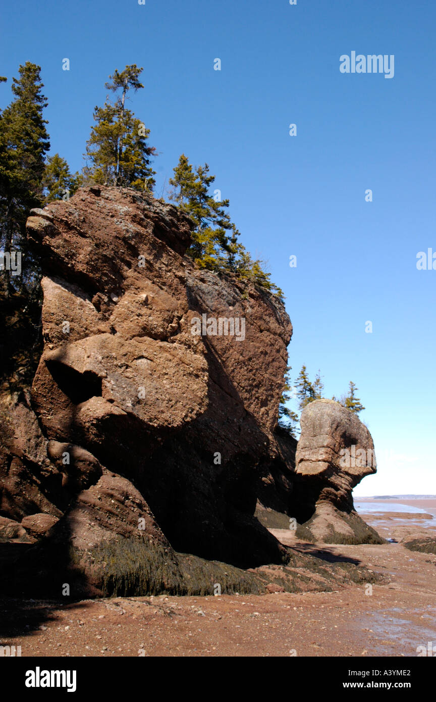 Le parc provincial Hopewell Rocks à marée basse dans la baie de Fundy, Nouveau-Brunswick Canada Banque D'Images