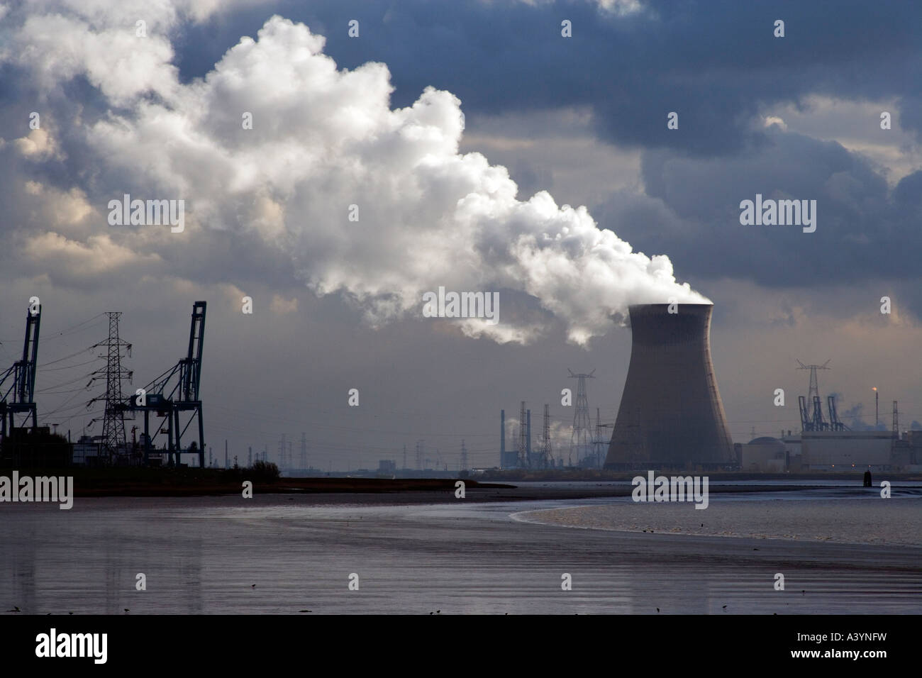 Centrale nucléaire en Belgique Doel,. L'Escaut l'escaut ; ; au premier plan de l'estuaire de l'Escaut. Ciel dramatique avec la vapeur. Banque D'Images