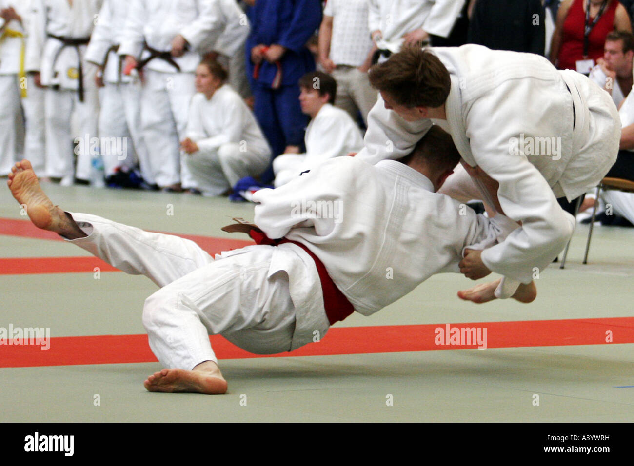 judokas Banque D'Images