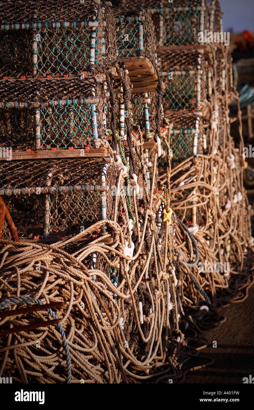 Homard, crabe, pots, les fruits de mer, pêche, panier, piège, frais, net, pêche, port, Banque D'Images