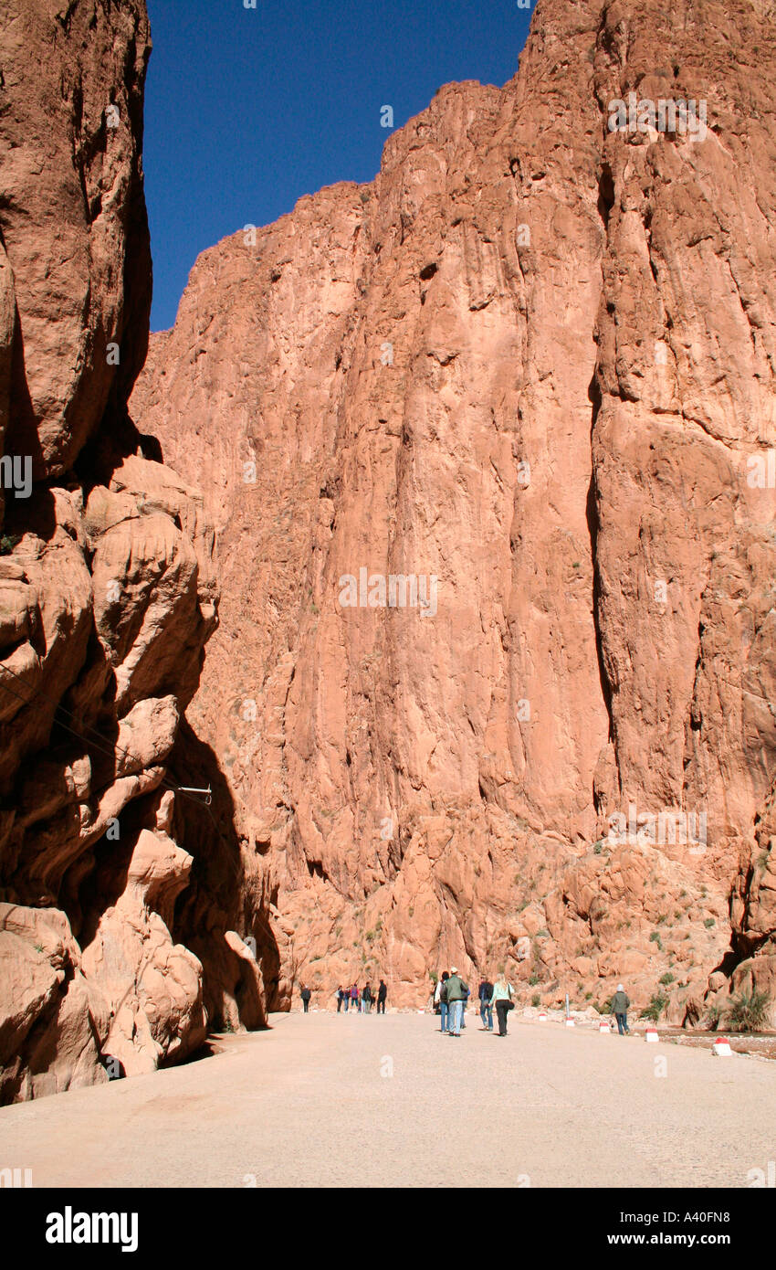 Gorges de Todra près de Tinerhir, Maroc, Afrique du Nord-Ouest Banque D'Images