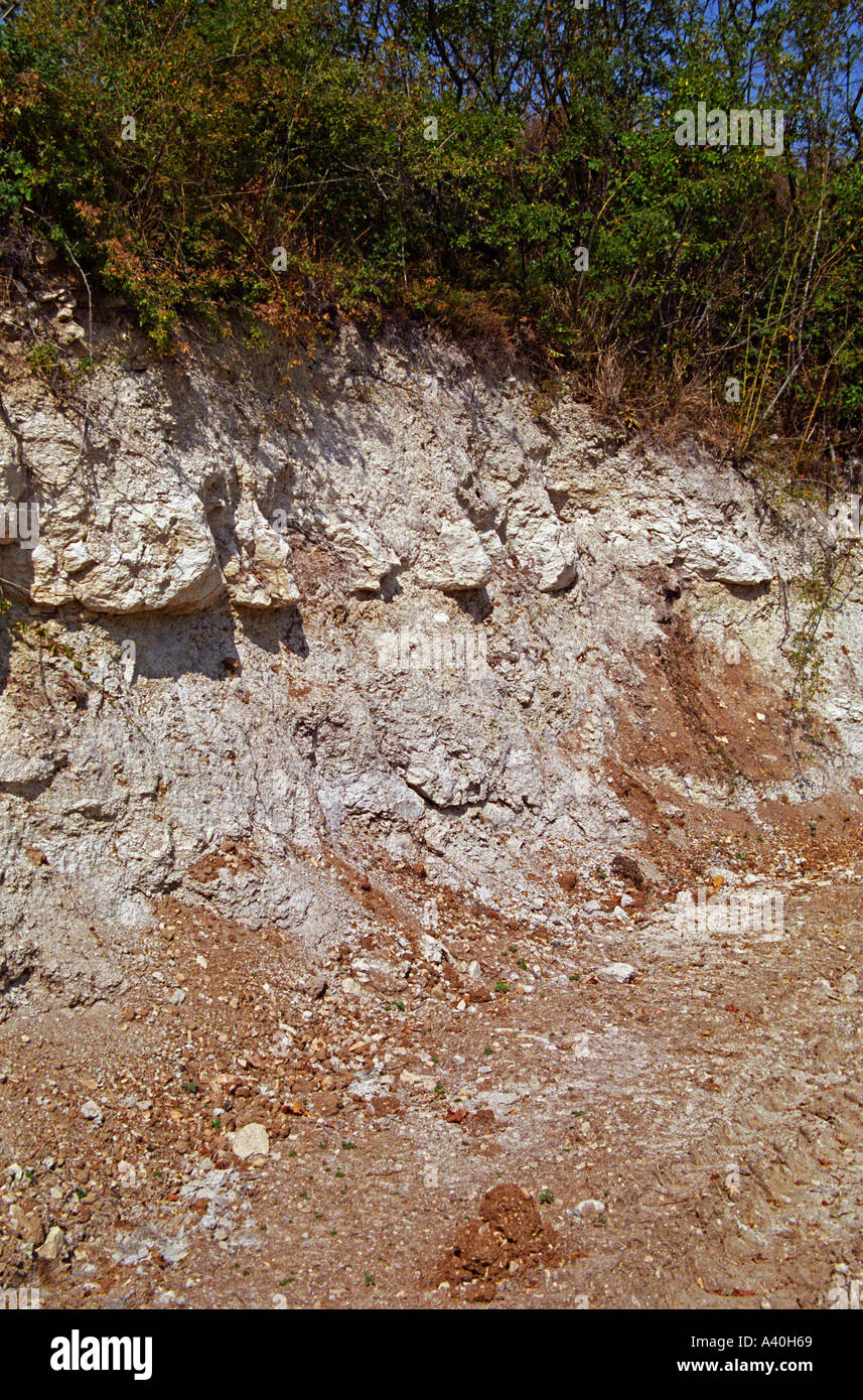 Chablis : une section transversale de la terre sur le grand cru vineyard hill : une terre arable mince puis Kimmeridge - calcaire et l'argile Banque D'Images