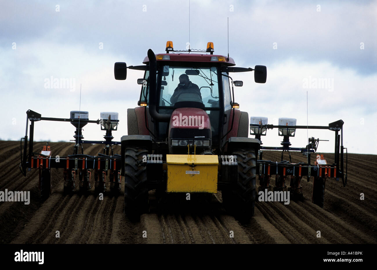 Les carottes sont cousus sur les terres agricoles en Capel St Andrew près de Woodbridge, Suffolk, UK. Banque D'Images