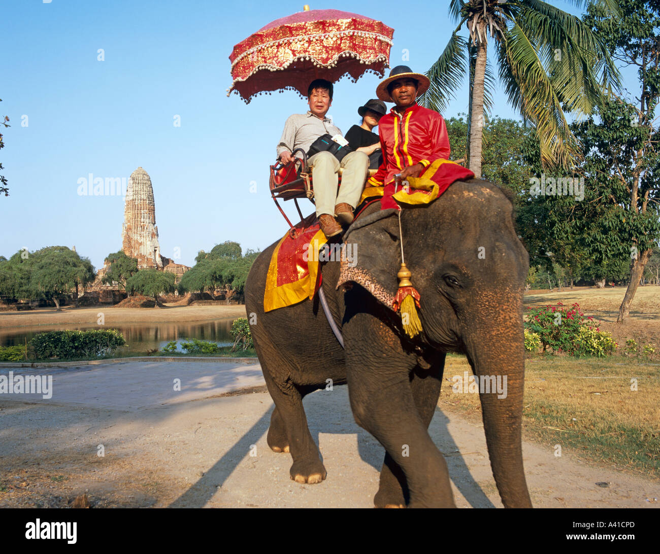 L'équitation d'éléphant dans l'ancienne capitale du Siam Ayuthaya Thaïlande Asie du sud-est Banque D'Images