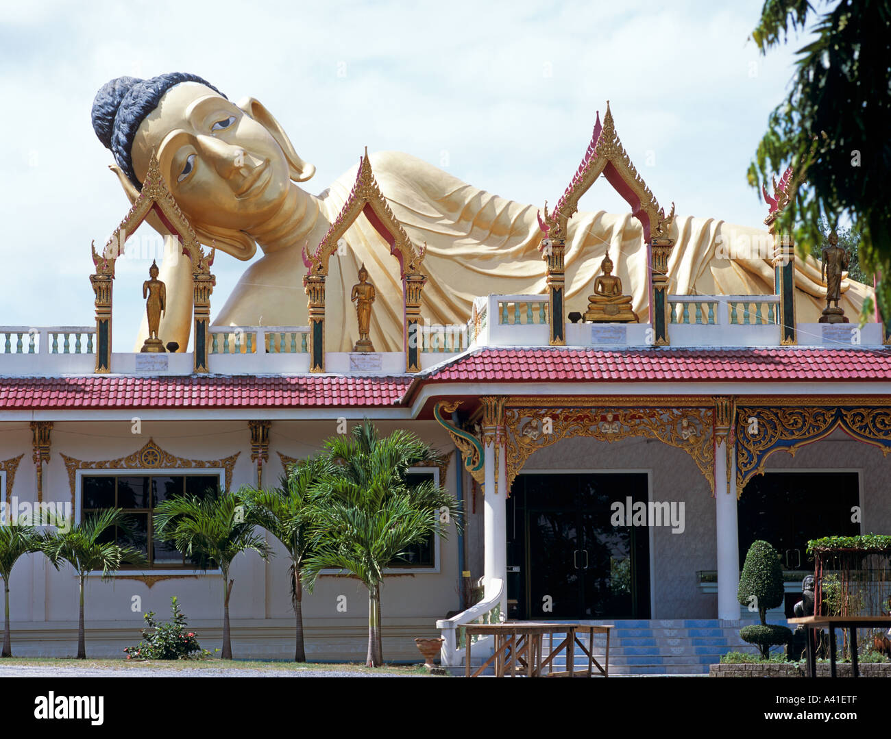 Immense Bouddha couché d'or au nord de la ville de Phuket en Thaïlande Asie du sud-est Banque D'Images