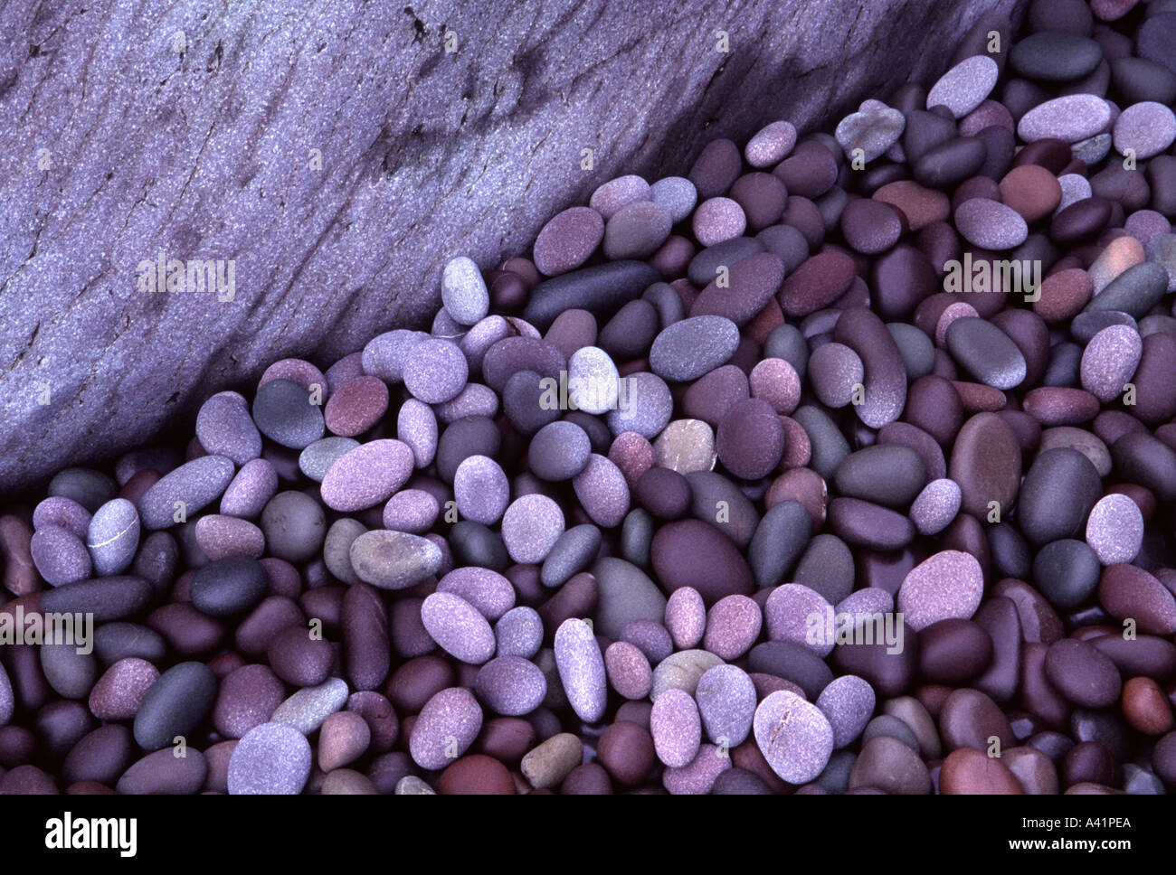 Cailloux de granit de couleur lisse et roches sur beach Angleterre Somerset Point Daniel Martina Banque D'Images