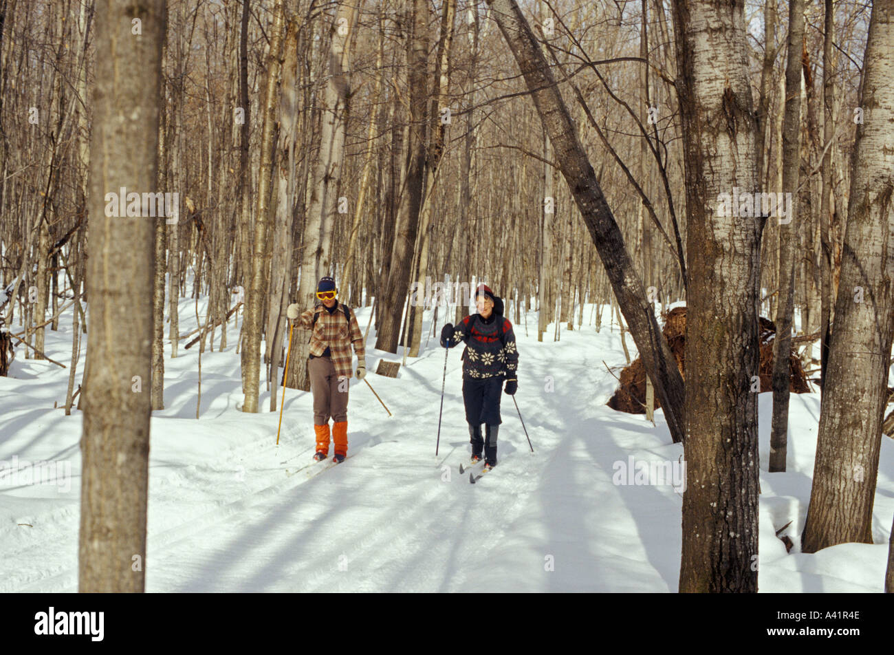 Les skieurs de fond dans le Michigan s montagnes Porcupine Banque D'Images