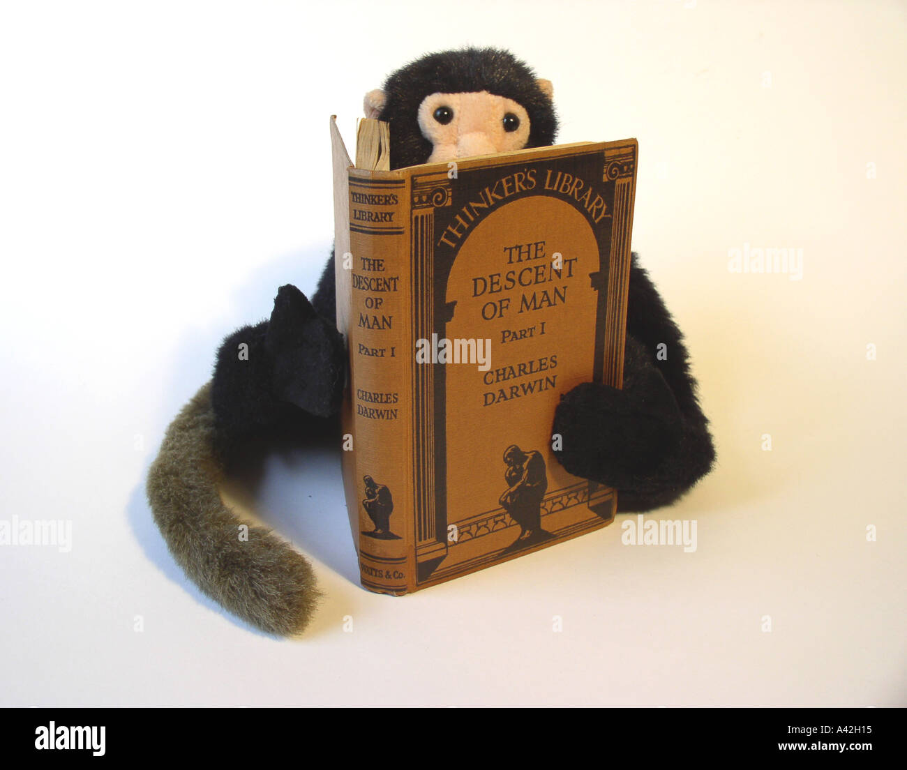 Singe jouet lecture la descente de l'homme par l'édition Bibliothèque penseurs Charles Darwin Banque D'Images