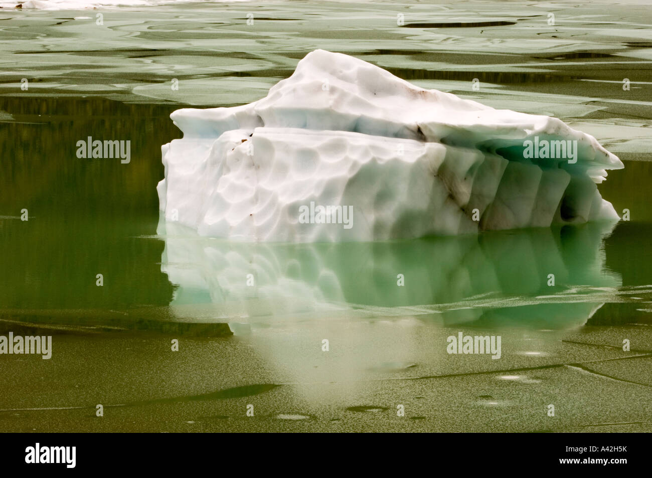 Mt Edith Cavell étang glaciaire d'icebergs, Jasper National Park, Alberta, Canada Banque D'Images