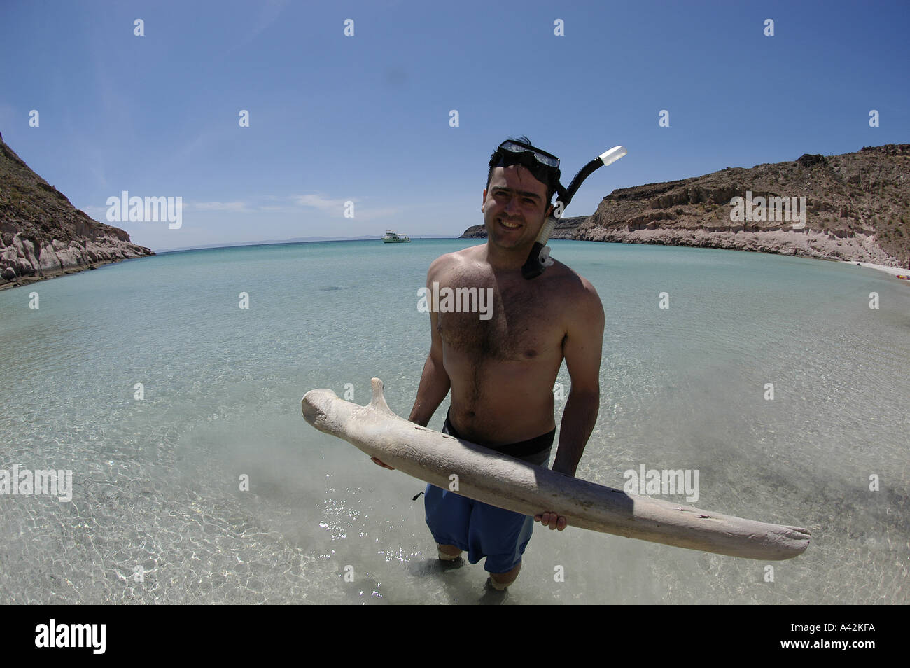 Jeune homme espagnol M. snorkeler-photographe avec son appareil photo et d'un rorqual à bosse osseuse vertèbre Espiri Banque D'Images