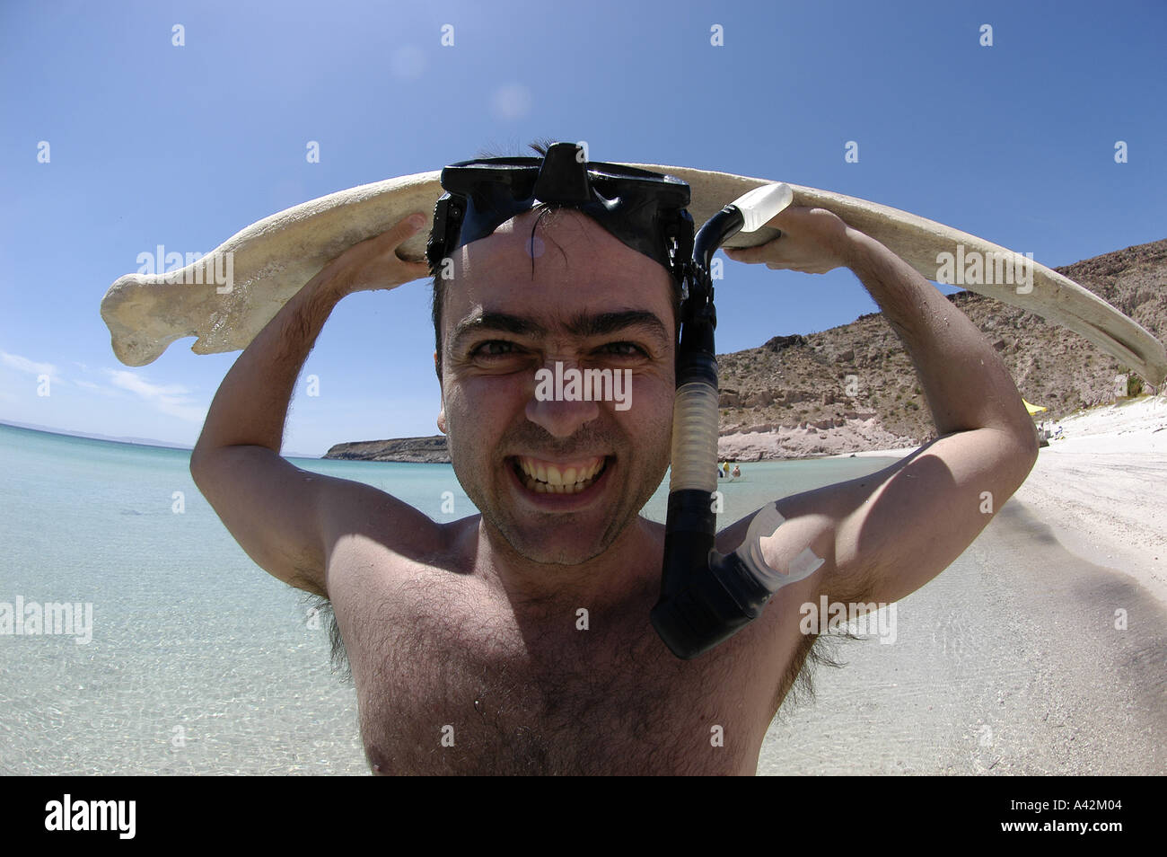 Jeune homme espagnol M. snorkeler-photographe avec son appareil photo et d'un rorqual à bosse osseuse vertèbre Espiri Banque D'Images