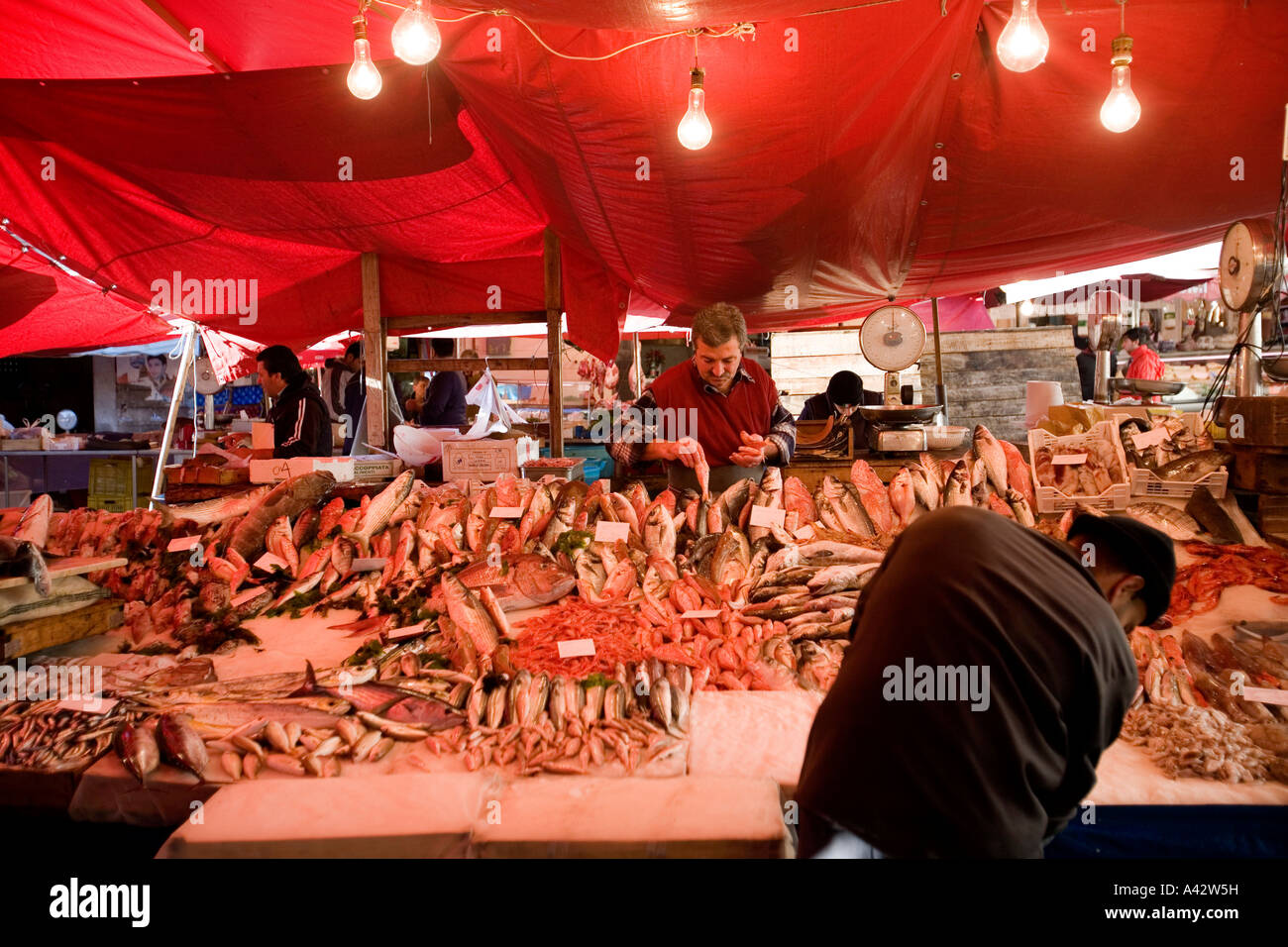 Marché aux poissons de Catane Sicile Italie Banque D'Images