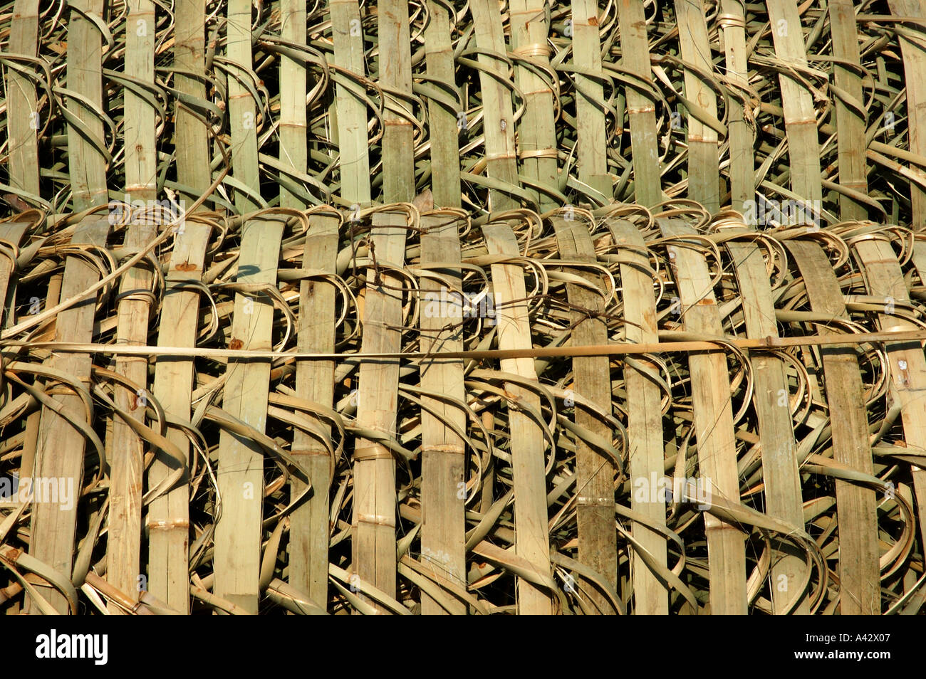 Des paniers de bambou fendu dans l'industrie artisanale en bordure de la Province de Lam Dong Vietnam Viet Nam Asie du sud-est Banque D'Images