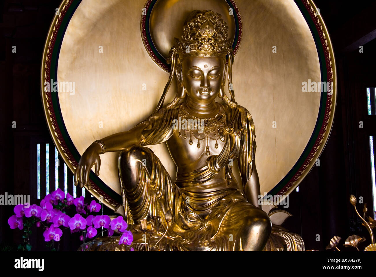 Bouddha en or à l'intérieur du Chi Lin Nunnery Hong Kong, Chine Banque D'Images