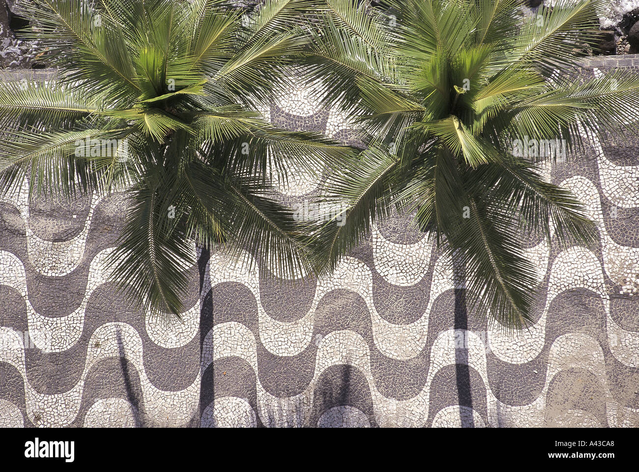 Rio de Janeiro Brésil typiques noir et blanc la mosaïque du pavé vu de dessus avec des palmiers sur la plage de Copacabana/ Banque D'Images