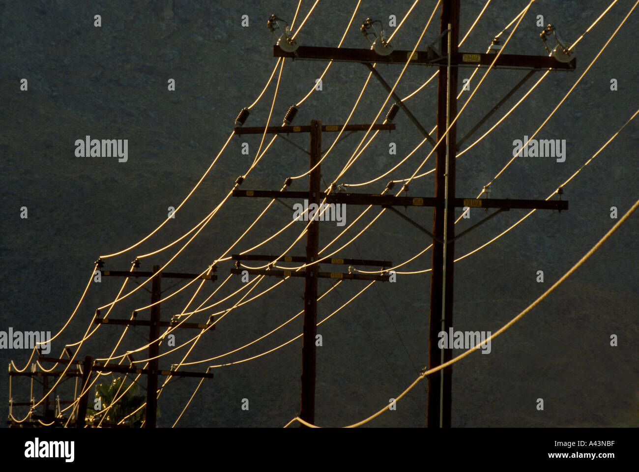 Soleil de l'après-midi met en lumière les câbles de transmission électriques aériens à Palm Springs en Californie dans la vallée de l'Coacella Banque D'Images