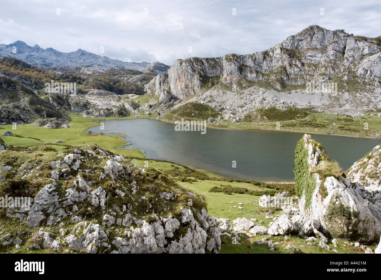 Lake LAGO LA ERCINA dans les PICOS DE EUROPA, au nord de l'Espagne Banque D'Images