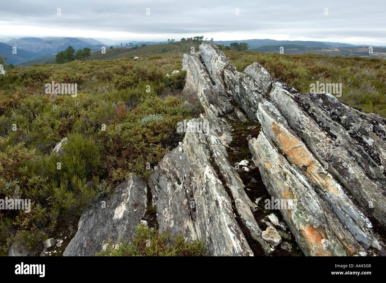 Formation rocheuse de granit dans la réserve naturelle du Parc Naturel de Montesinho N OS MONTES TRAS en Portugal Banque D'Images