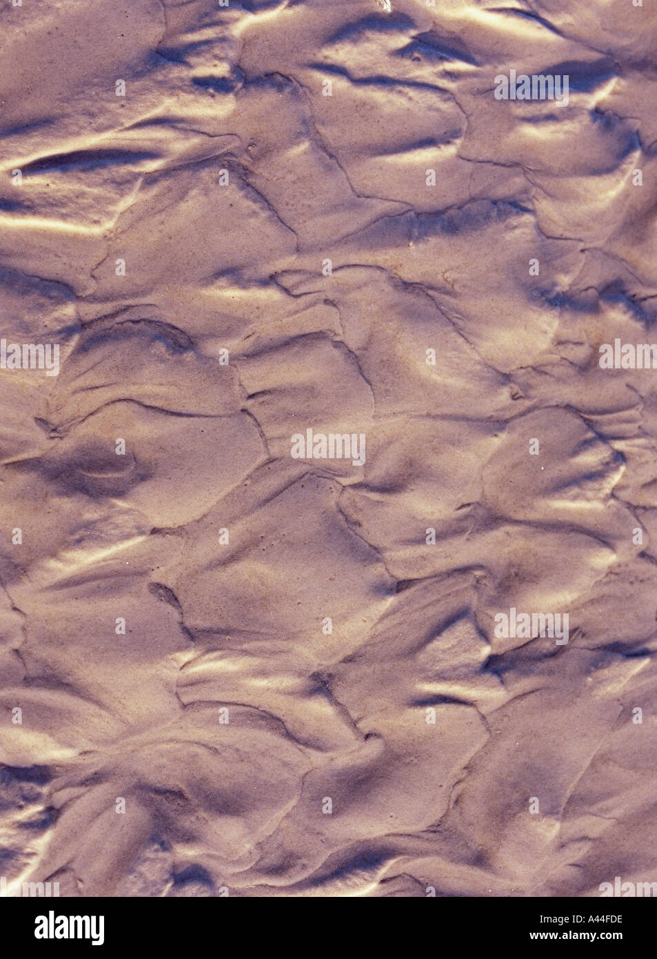 dh texture Sandy motifs d'eau SABLE ARRIÈRE-PLAN MOTIF sable plage marée dehors brunâtre bord de mer gros plan motif brun Banque D'Images