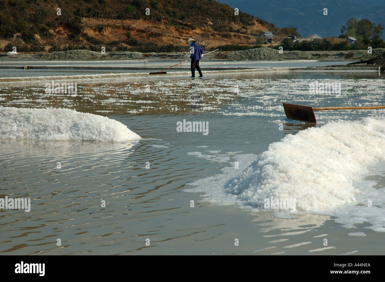 La récolte du sel a came Bay Province de Khanh Hoa Vietnam Asie du sud-est Banque D'Images
