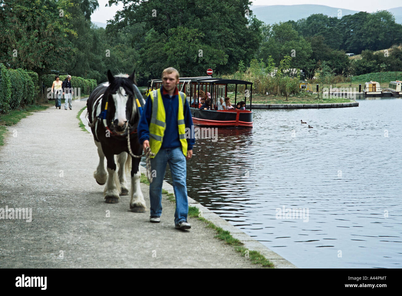 LLANGOLLEN DENBIGHSHIRE NORTH WALES UK Août un homme menant un cheval le long du chemin de halage tirant un grand classique Banque D'Images