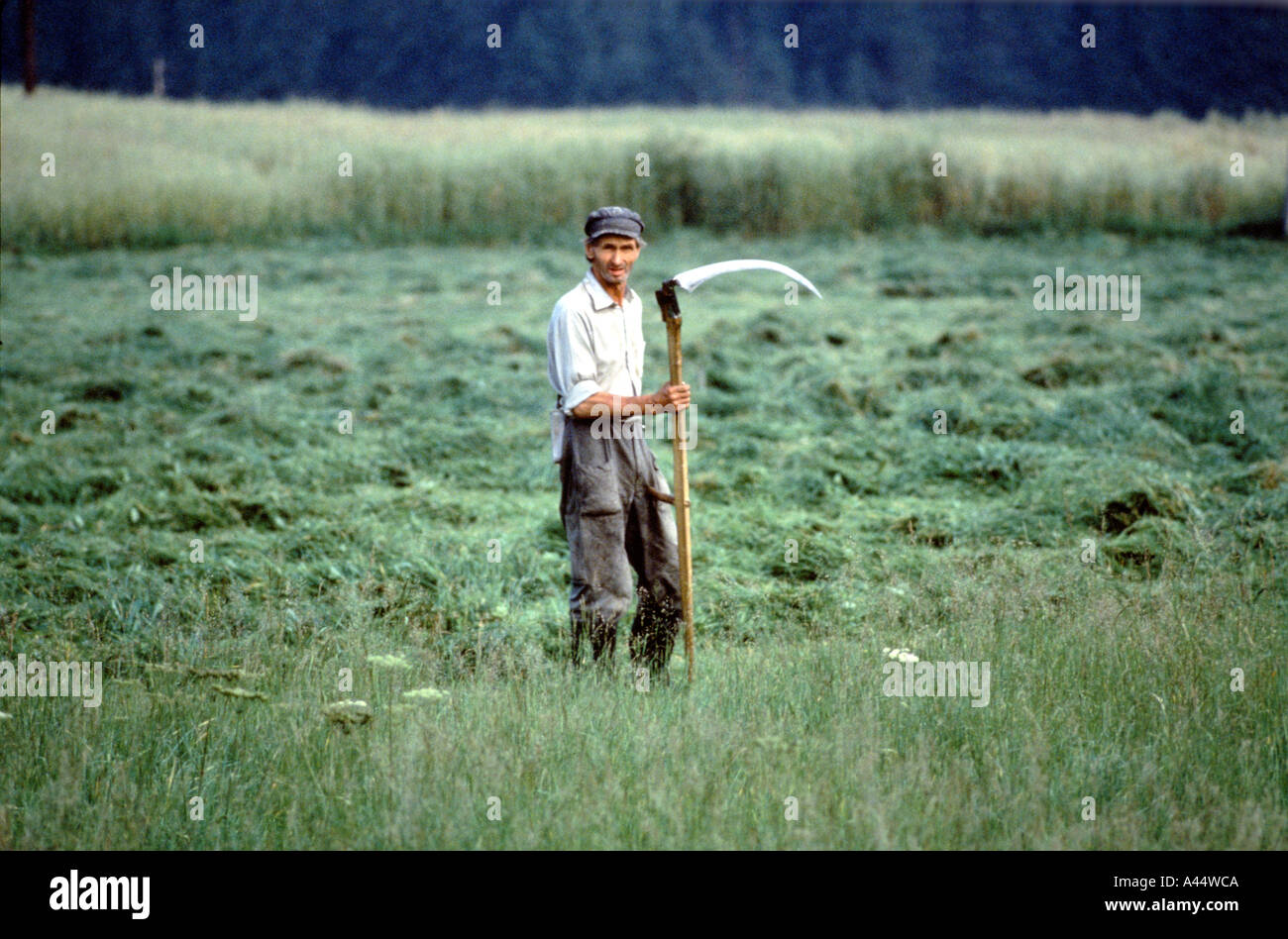 Homme debout de drépanocytose récolte en Pologne 1984 Banque D'Images