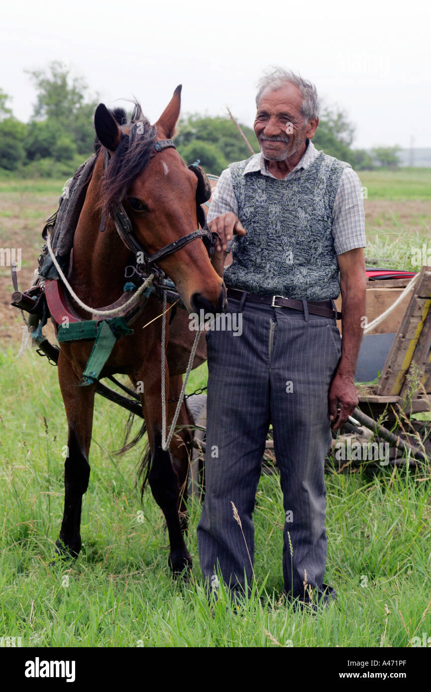 Homme avec cheval Banque D'Images