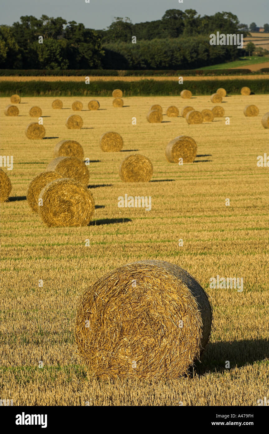 Domaine de la grande tour des bottes de paille Banque D'Images