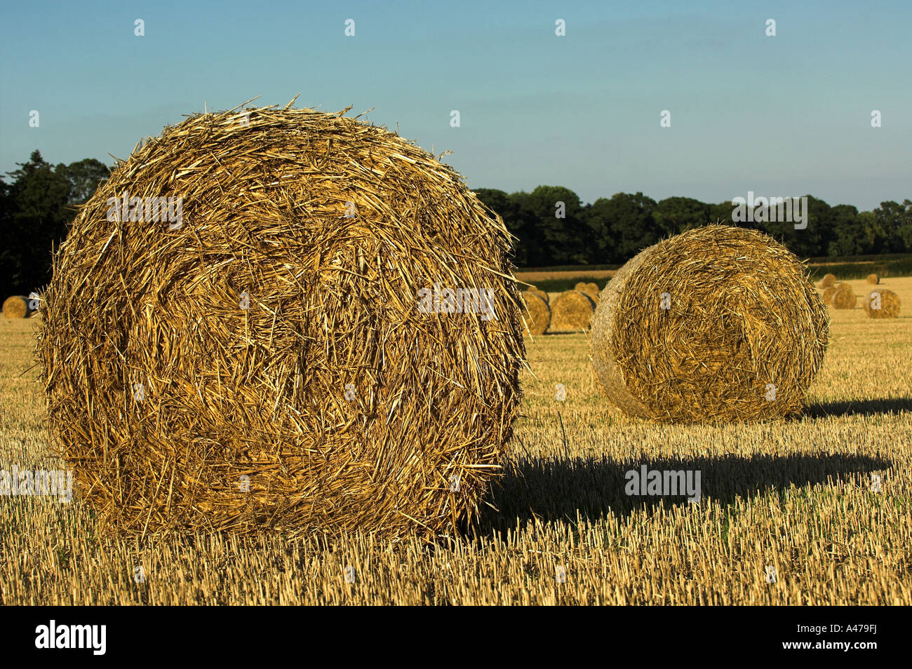 Domaine de la grande tour des bottes de paille Banque D'Images