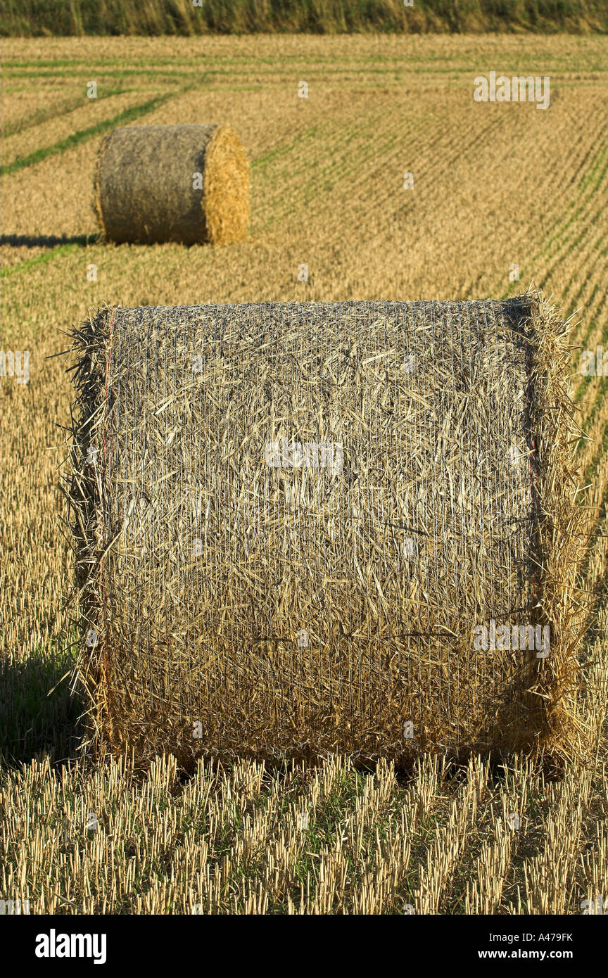 Domaine de la grande tour des bottes de paille Banque D'Images