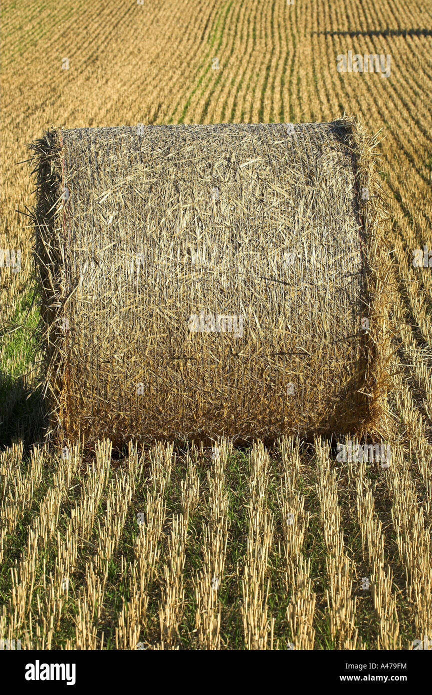 Domaine de la grande tour des bottes de paille Banque D'Images